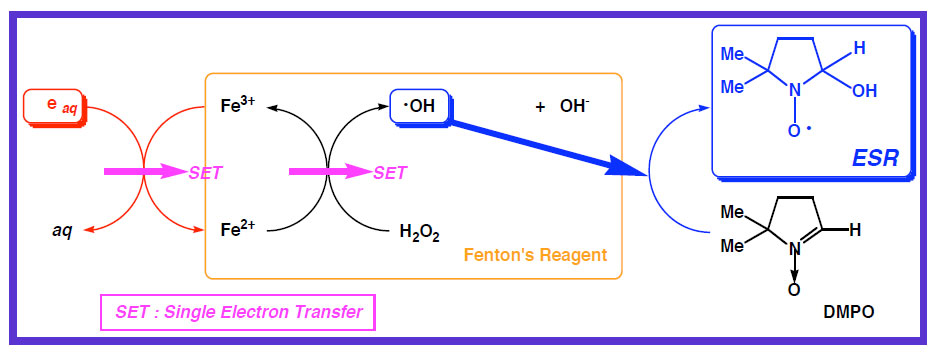 Fenton系のESRスペクトル