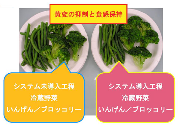 学会発表事例 (1) イオン半導体システムの適応例