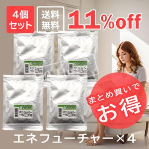 エネフューチャー4個セット 【まとめ買いでお得!11,880 円→10,560円】【送料無料】