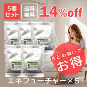 エネフューチャー5個セット 【まとめ買いでお得!14,850円→12,650円】【送料無料】