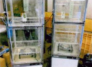 エネフューチャー 飲食店舗の冷蔵庫冷却テスト5