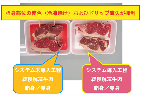 イオン半導体由来の本システムによる適応例（3）