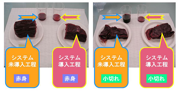 冷凍鯨肉に対する解凍工程における本システムの適応効果の一例